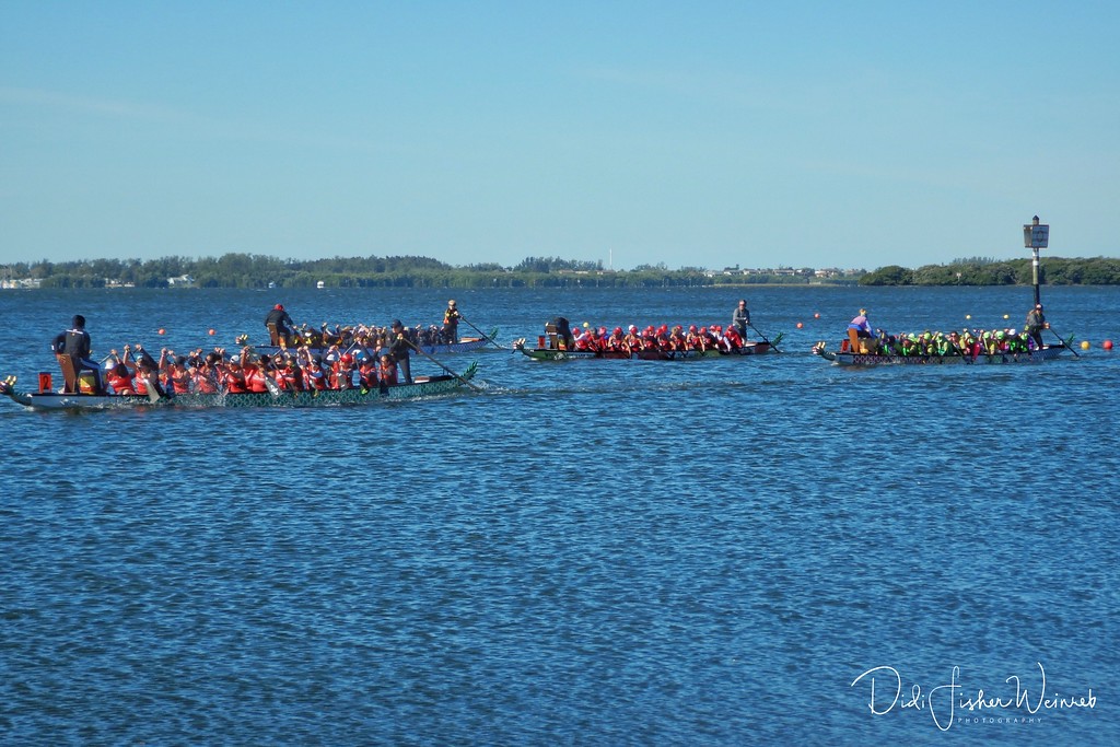 Dragon boat athletes to experience Florida, others here just for race